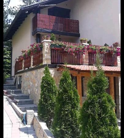 Apartment Niva Zlatibor Exterior photo