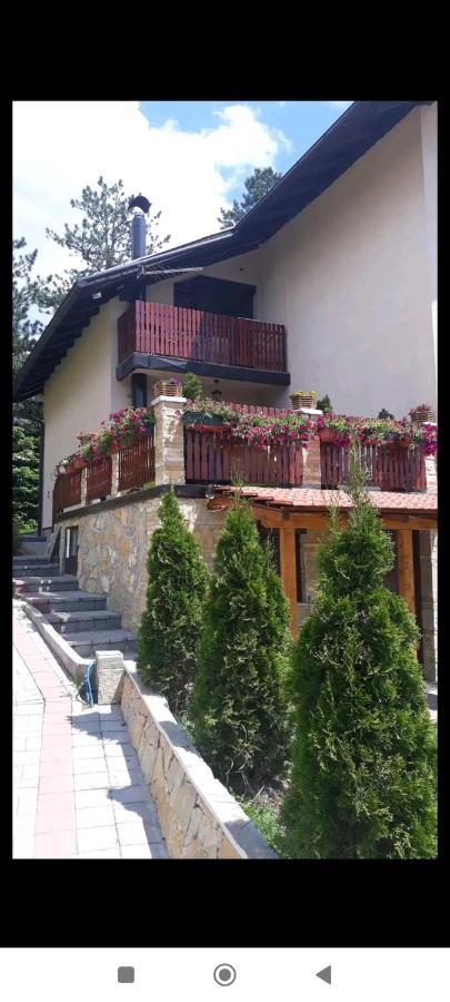 Apartment Niva Zlatibor Exterior photo